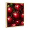 Stupell Industries Lush Juicy Cherries Harvest Floating Frame, design by Christine Simpson Art